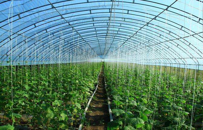 蔬菜大棚基本建设里遮阳网如何正确运用来提高效益
